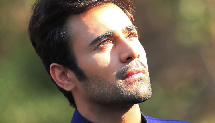 Pearl V Puri breaks his silence on the Internet, artist from the industry extend their support!